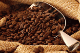 caffe-equo-solidale