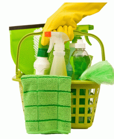 detersivo_ecologico detersivo ecologico