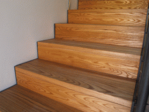 Parquet biobab