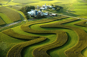 azienda agricola