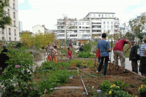 orti urbani