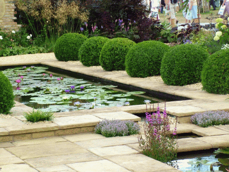 giardino acquatico
