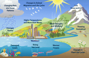 cambiamenti climatici