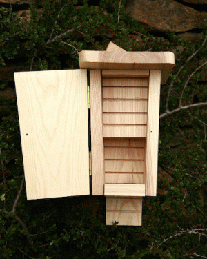 bat box