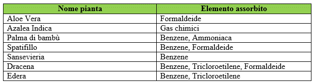 scheda-piante-antiinquinamento