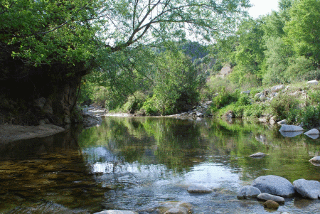 Parco nazionale della Sila