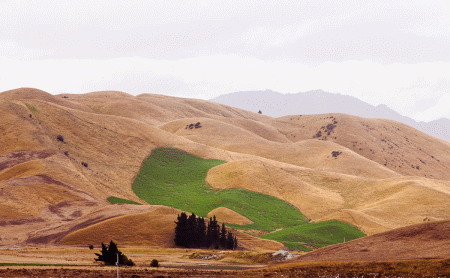 Dry Farming