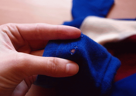 Rimedi Naturali Contro Le Tarme Quali Funzionano Davvero