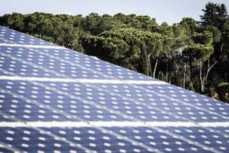 Pannelli solari: cresce l’attenzione per l’energia sostenibile