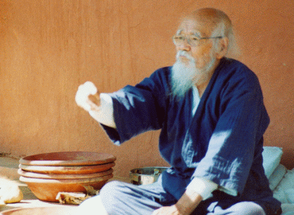 Masanobu-Fukuoka insegna