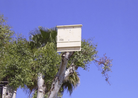 bat box