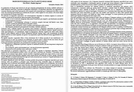 Biogas e trattamento odori - SoloEcologia (Florio, Imparato)