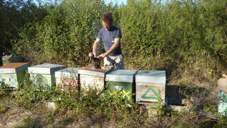 produttore miele piemonte