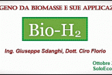 idrogeno da biomasse