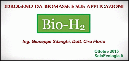 idrogeno da biomasse