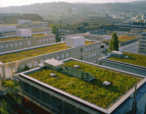 green roofs