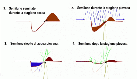 metodo Vallerani