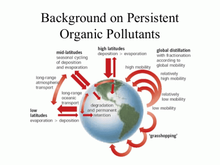 persistent organic pollutants