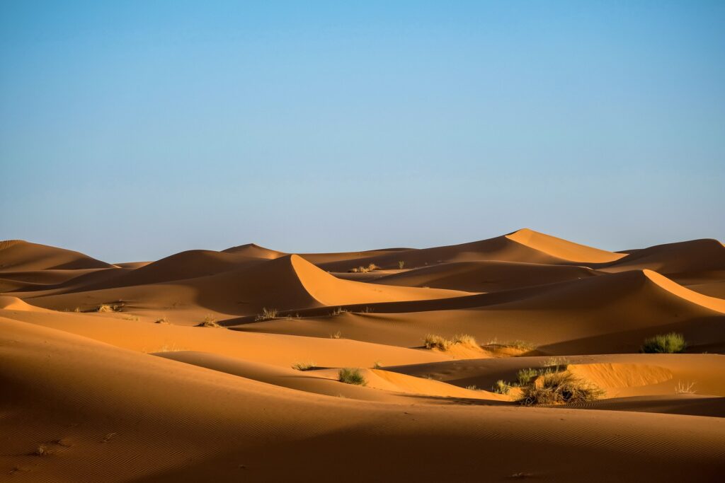 desertificazione