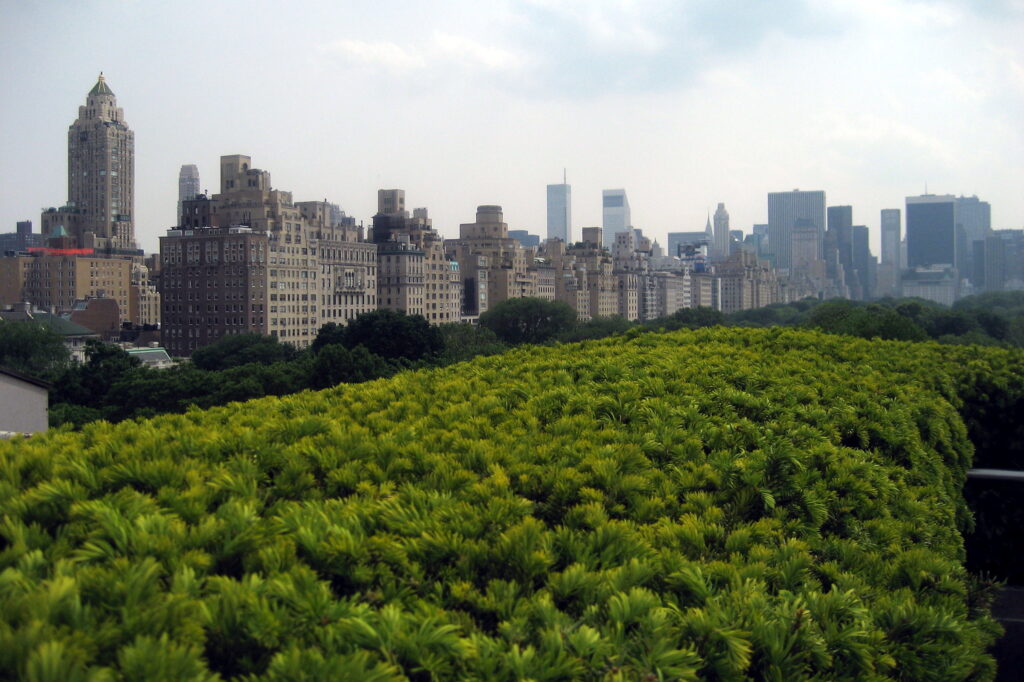 Giardini sui tetti: una silenziosa rivoluzione verde